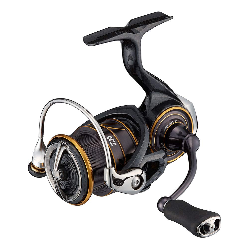 Daiwa LT2500 21 Caldia
