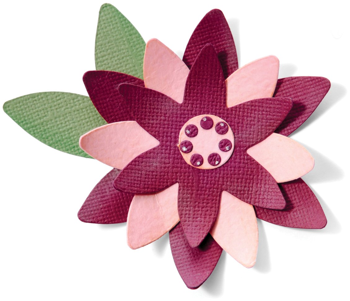 Sizzix Bigz BIGkick/Big Shot Die by Basic Grey, Flower Layers No.6
