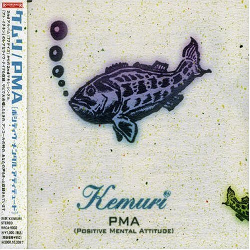 PMA (Positive Mental Attitude)