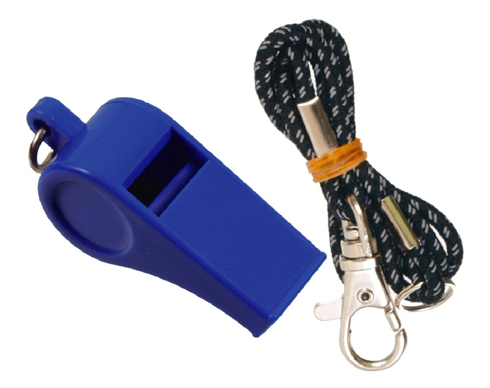 BS School, Cram Generic Surveillance, Whistle, MS – 14