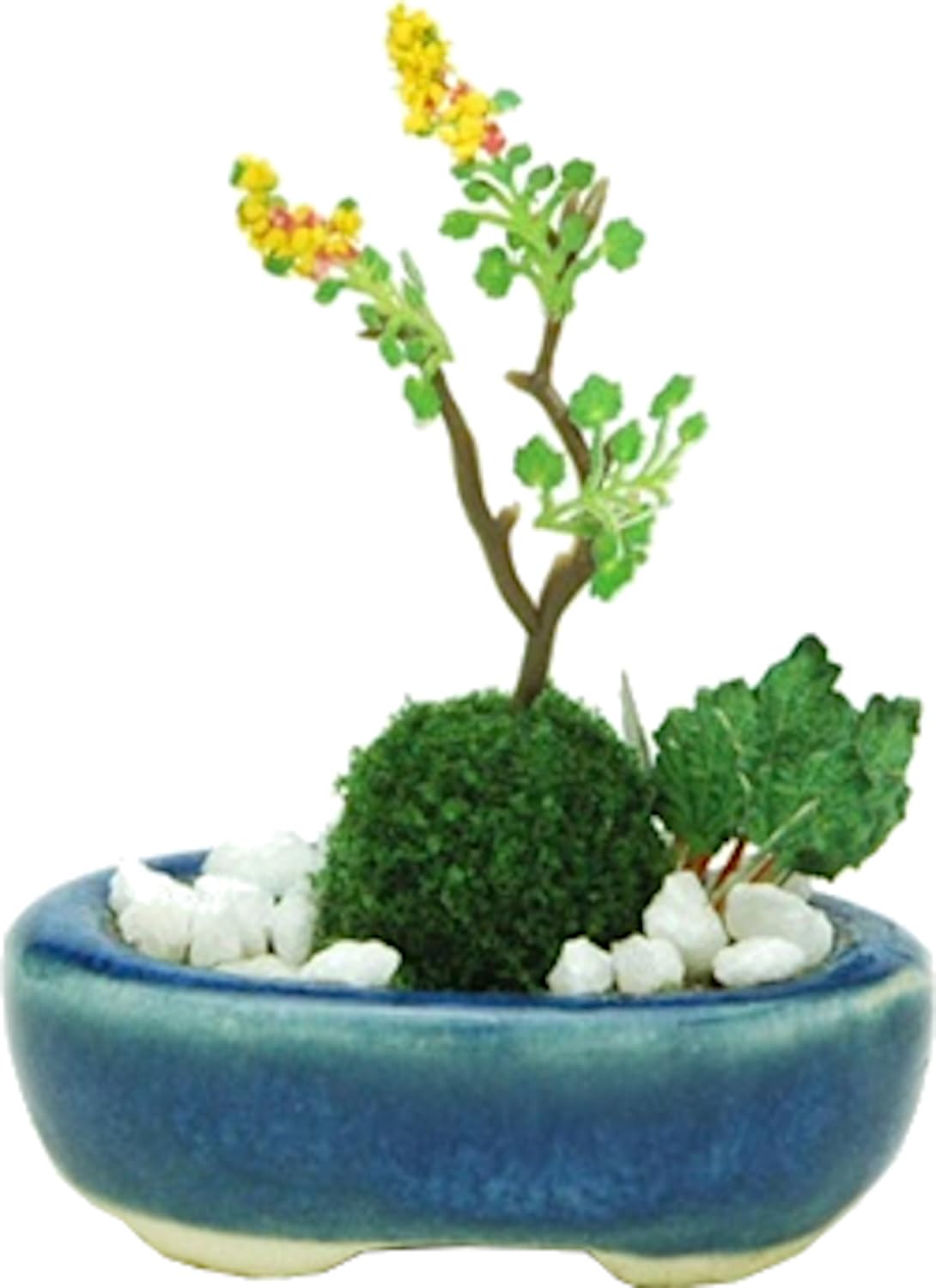 THE BONSAI 小判鉢 寄せ植え 【紺】