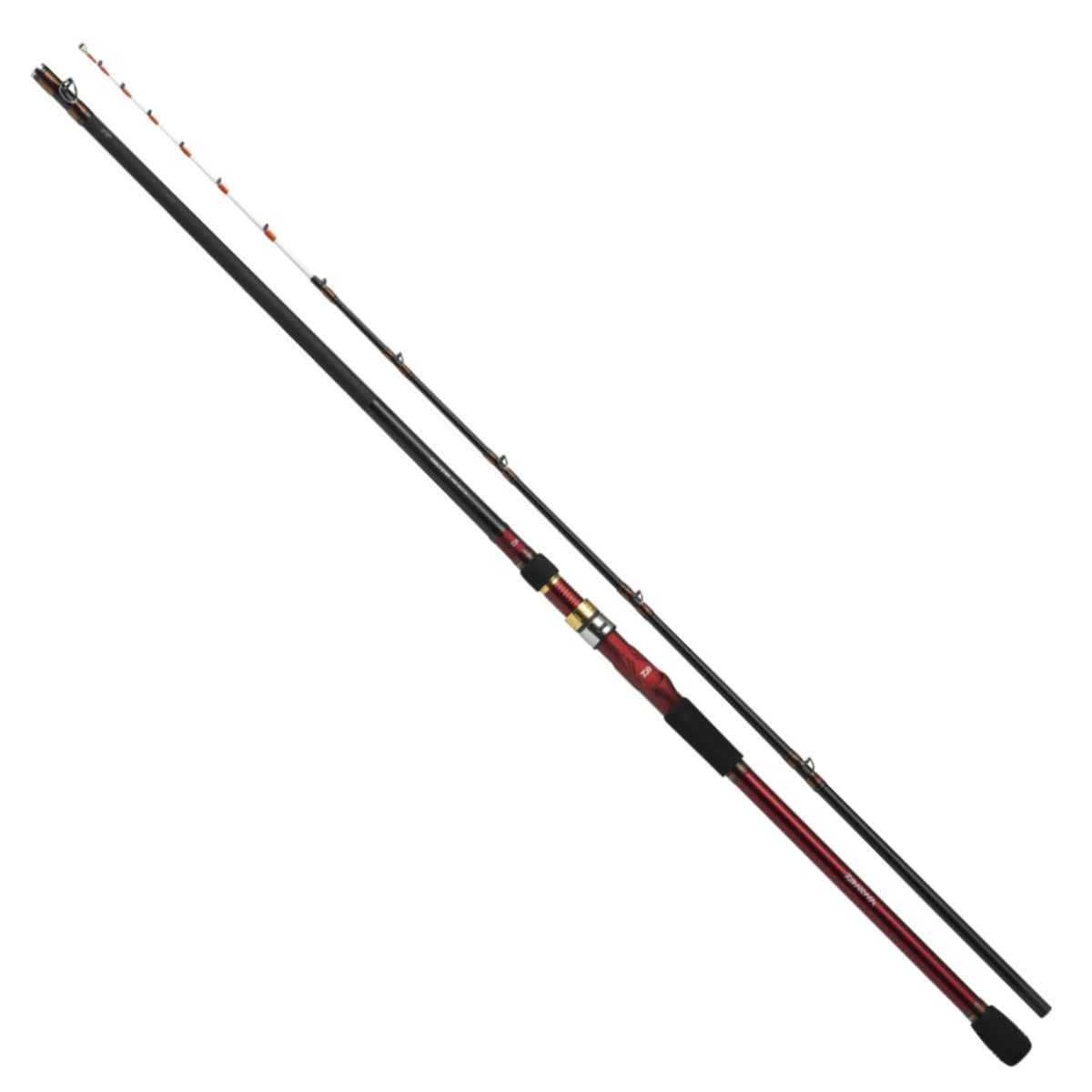 Daiwa ANSLYSTAR Squid 210