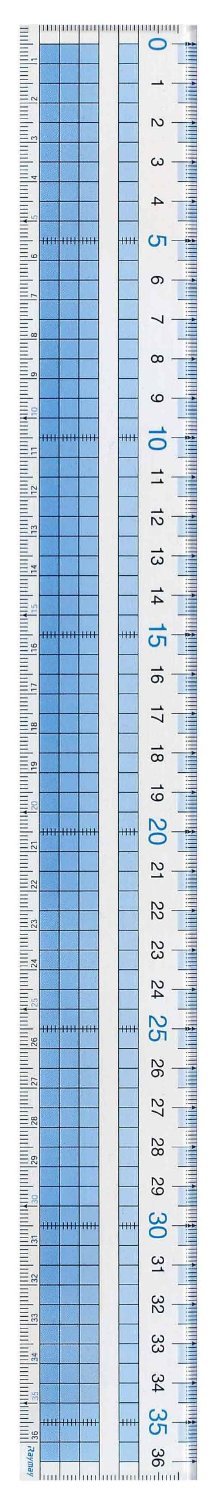 Raymay Fujii AJH408 Ruler, Easy to Read Grid Ruler, 14.2 inches (36 cm)