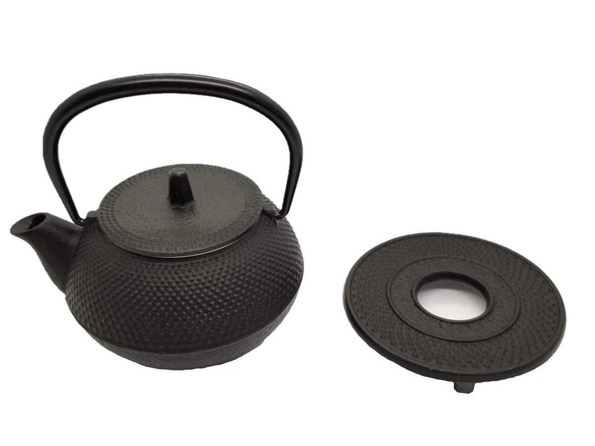 Nanbu Tekki Cast Iron Tea Pot New ARARE Type3 #16105 by N/A
