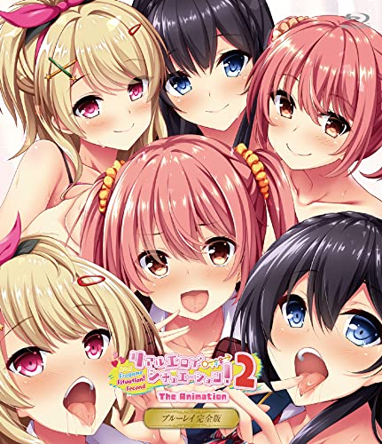 Real Eroge Situation! 2 THE ANIMATION Blu-ray Complete Edition JAPANESE HENTAI ANIME (PIXELATED SEP23)