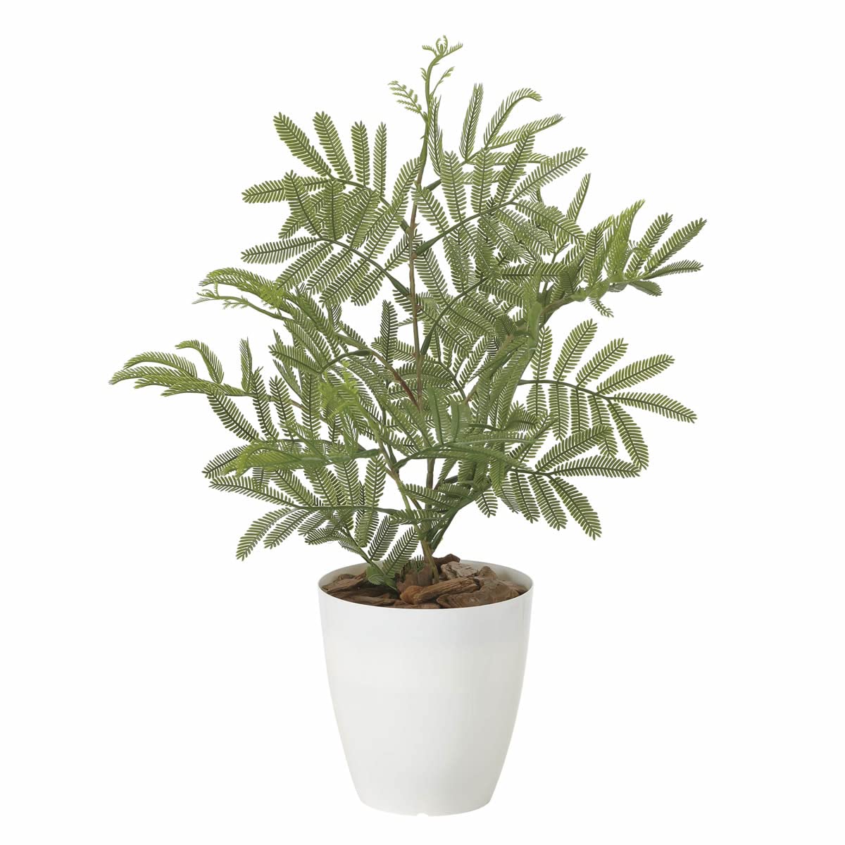アートクリエイション Photocatalyst Artificial Ornamental Plant, Paradise of Light, Nemu Tree (Poly) 2254A50