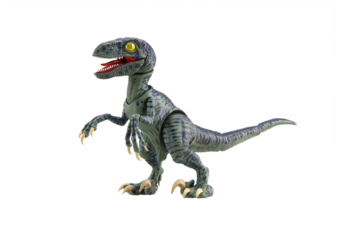 Fujimi Model Free Research Series No.3 Kyoryu Edition Velociraptor Free Study 3