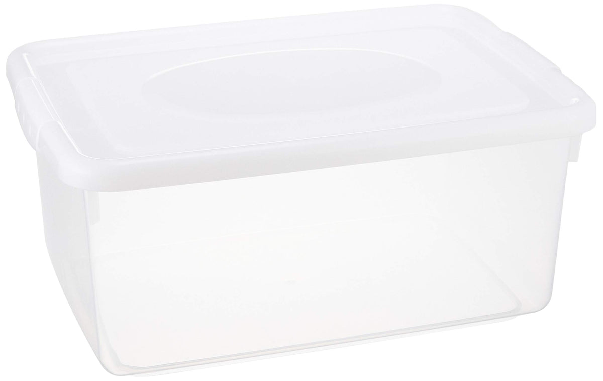 サンコープラスチック(SankoPlastic) Sky No.400 (Made in Japan) Storage Case, 02, 03. Simple White