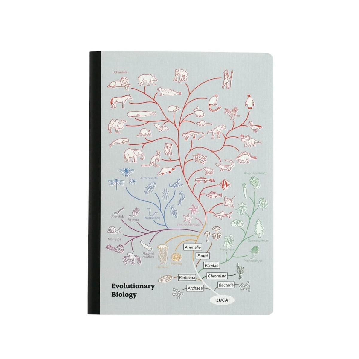 Green Flash STUDY HOLIC A5 Notebook, Evolution Biology ST-331