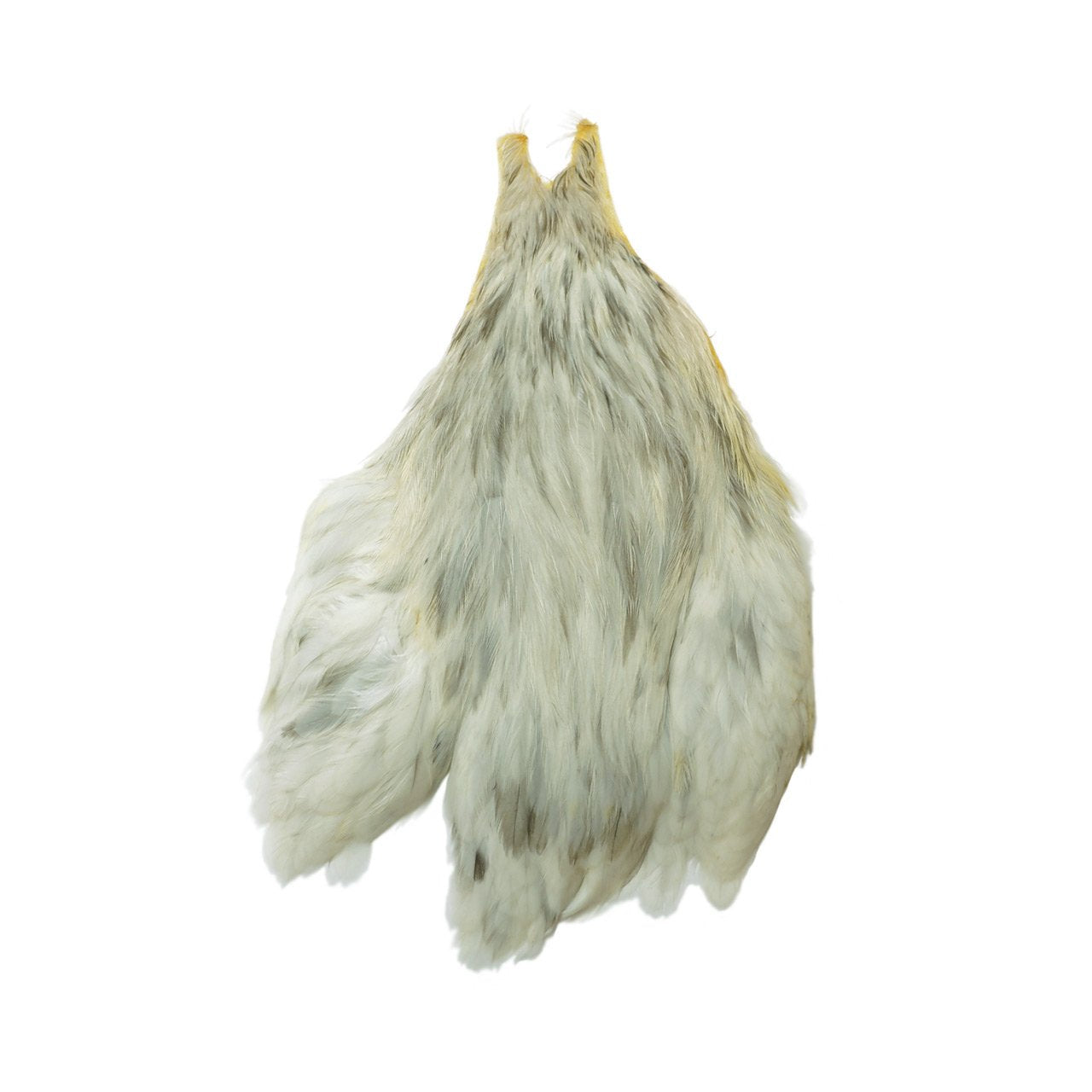 teximuko (Tiemco) Metz Hen Neck W supurassyuto # 1 95160