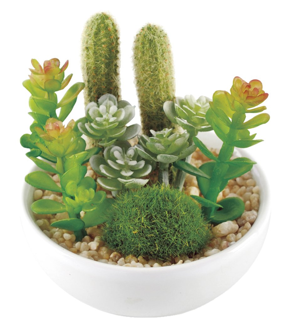 Kishima KH-60987 CT Catalyst, Deodorizing Artistic Green, Succulent Rifurium