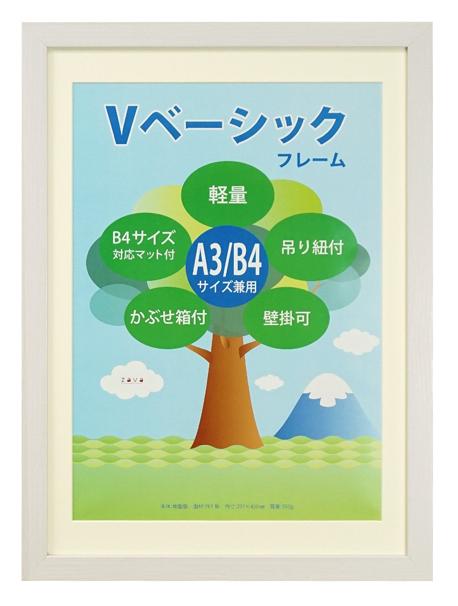VANJOH 454780 V Basic Frame, A3/B4 Photo Frame, 1 Mat, White