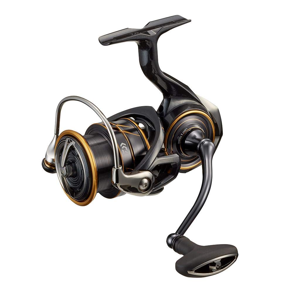 Daiwa LT3000 21 Caldia