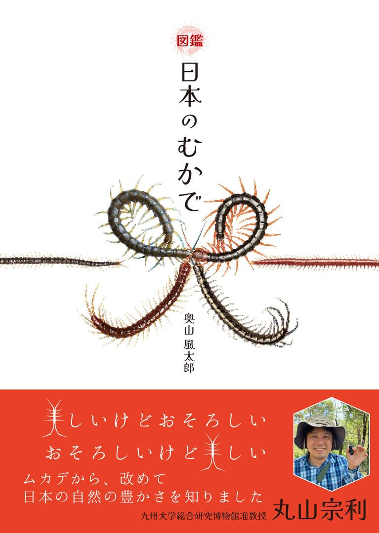 図鑑 日本のむかで
