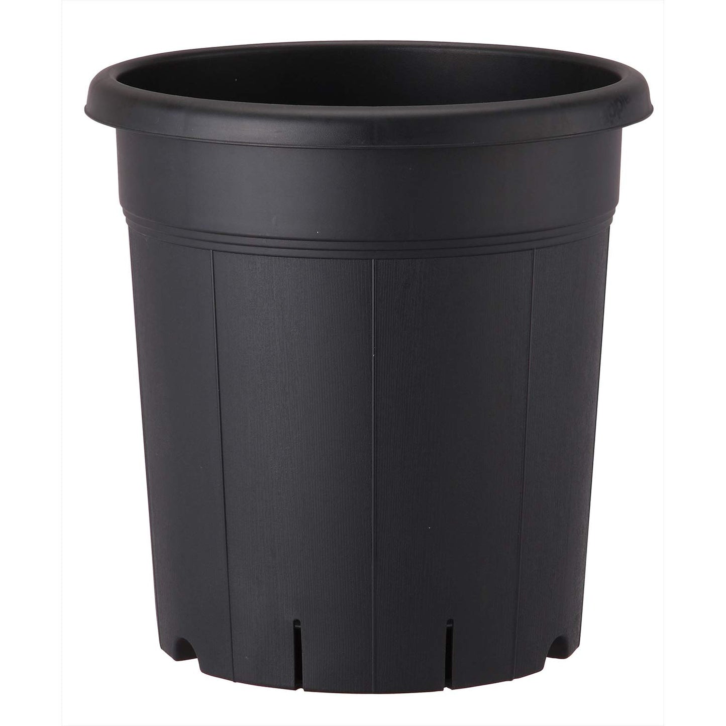appuruuxea- Orchard Vase