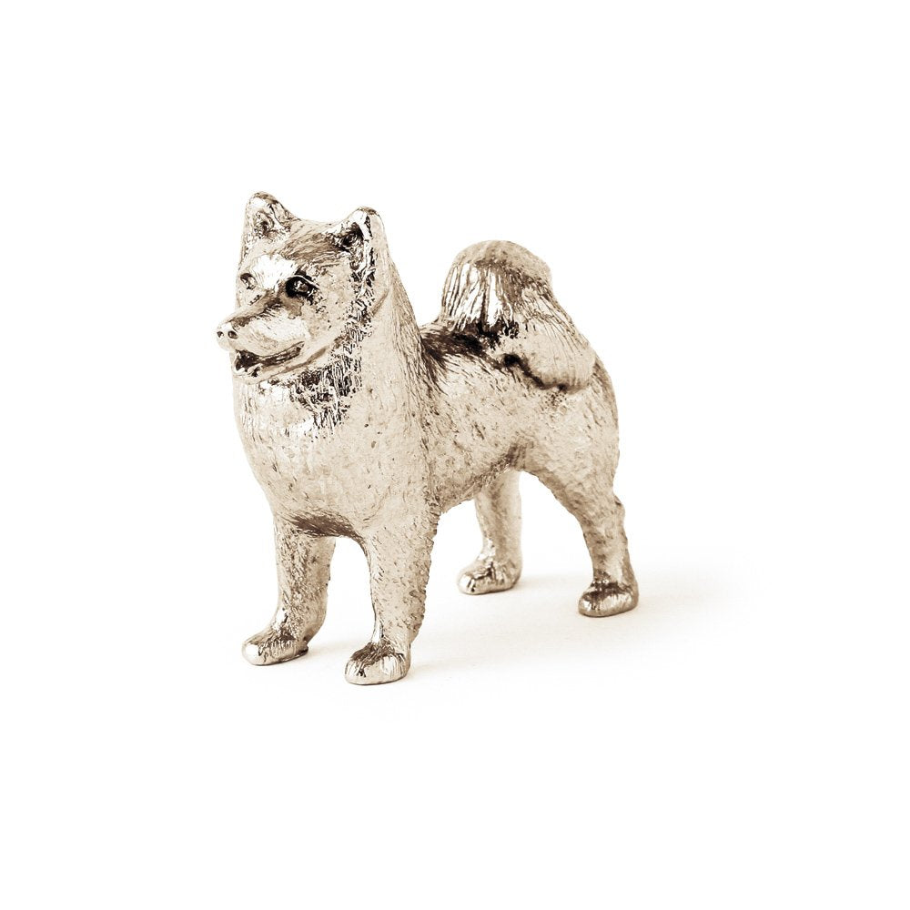 Samoyed