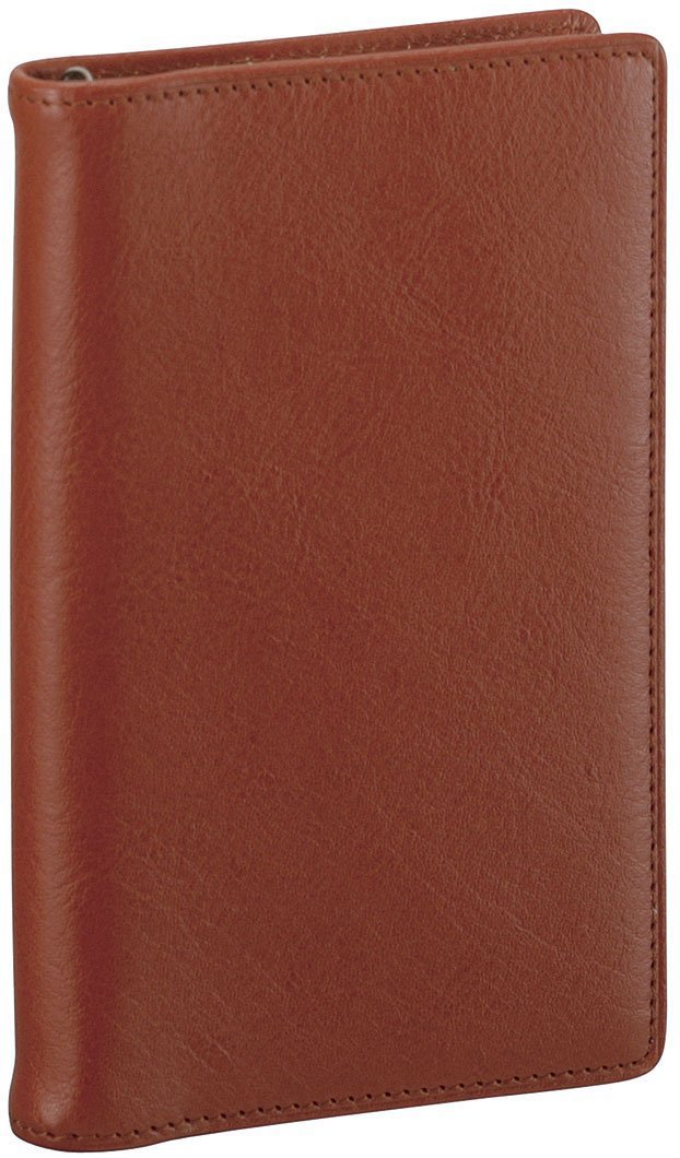 Raymay Fujii JDP3009C Da Vinci Standard Pocket Brown Personal Organizer