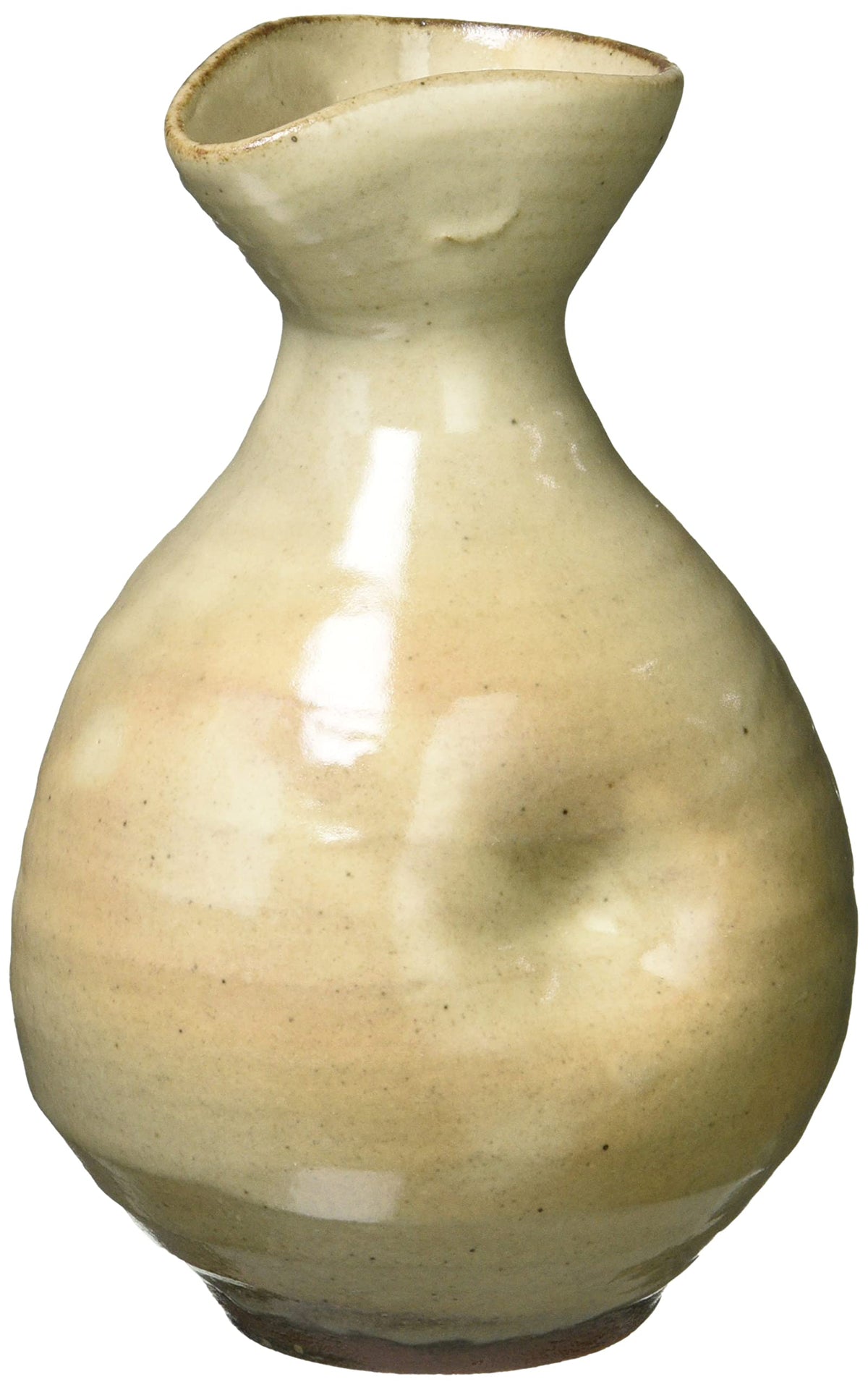 Shigaraki Ware MR-3-3128 Hechimon Tokuri Daifuku