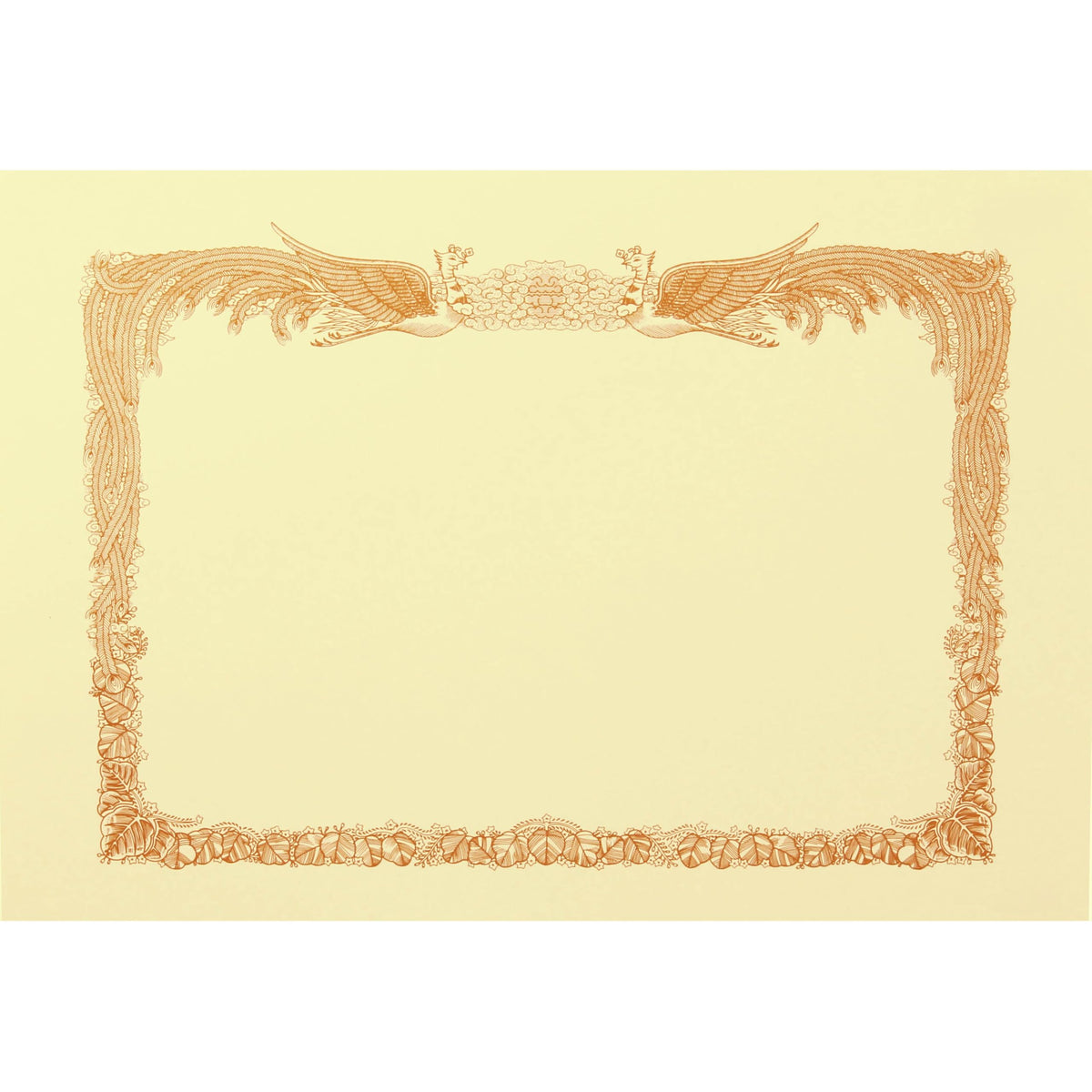 King Corporation Award Paper B4 Wide Horizontal Frame Cream 100 Sheets No.27 250310