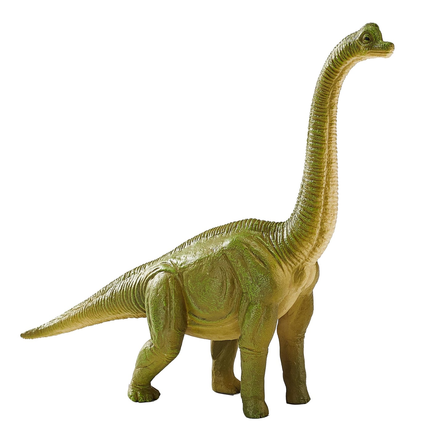 MOJO - Brachiosaurus | Hand-Painted Toy Figure | Prehistoric Life Collection | True to Life & Highly Detailed | Designed in UK
