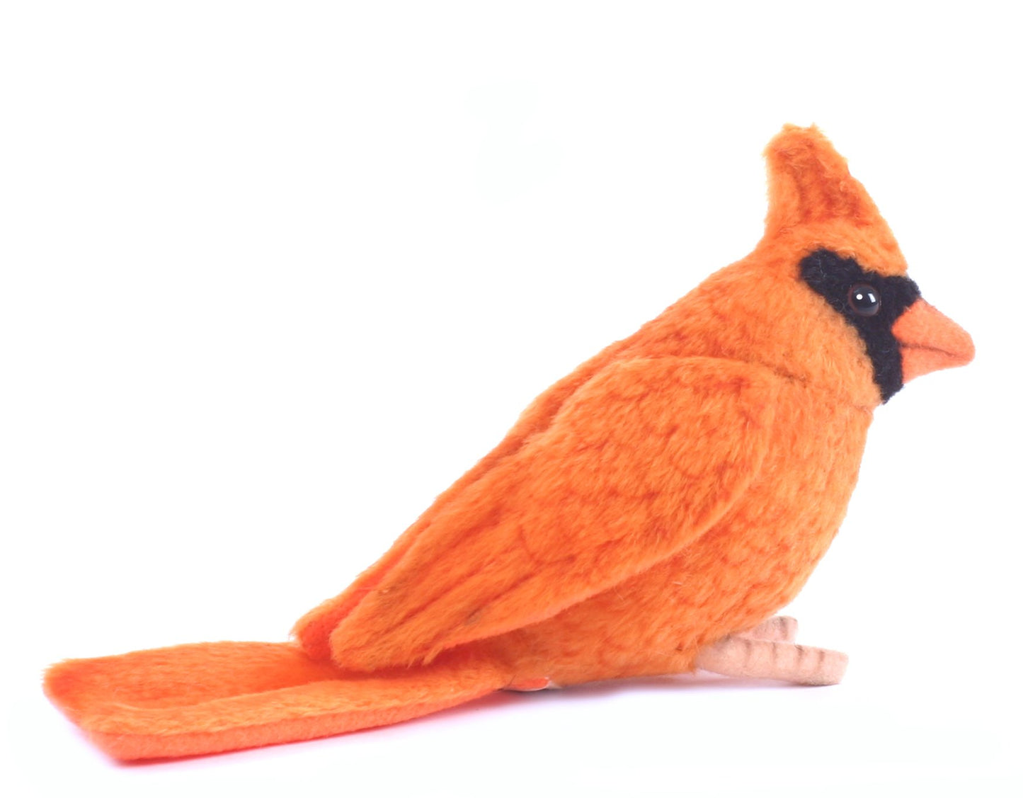 OR. Cardinal No5518