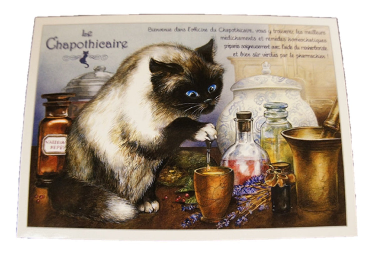 Vivienne(ヴィヴィアン) Sebrine 94106PC Cat Postcard Set of 5