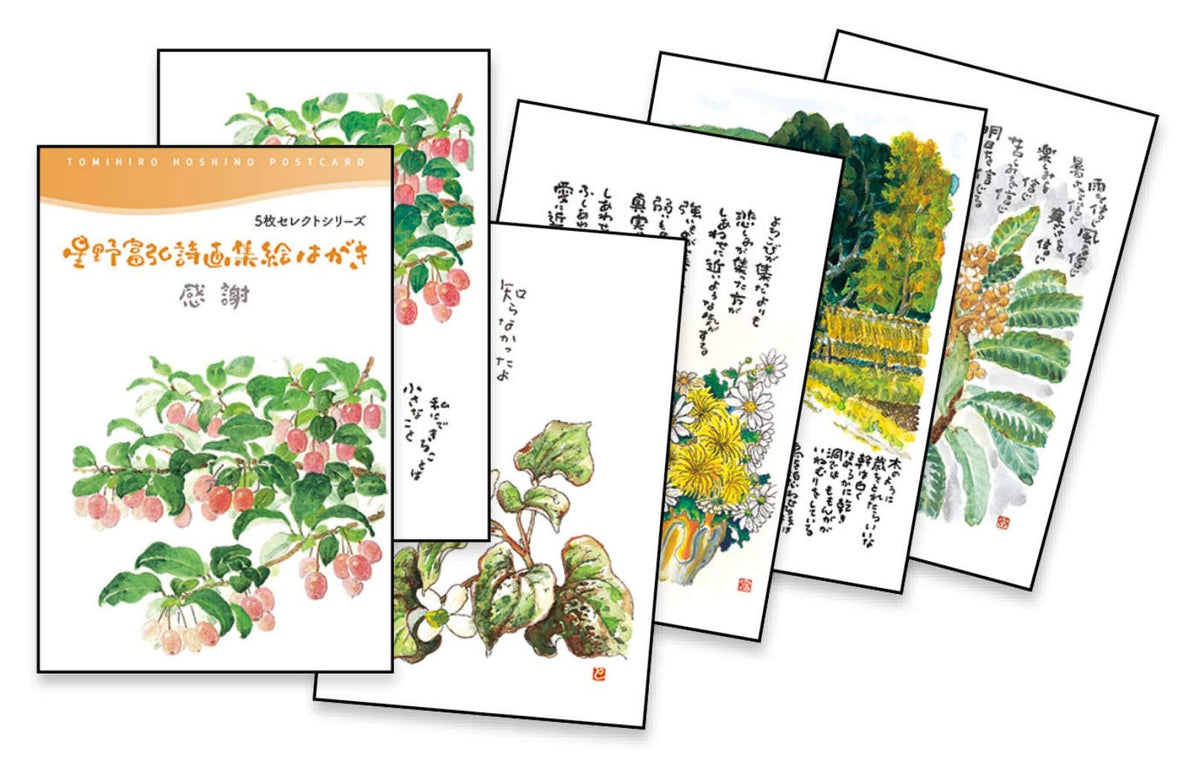 Tomihiro Hoshino Picture Postcard 5 Piece Select Series