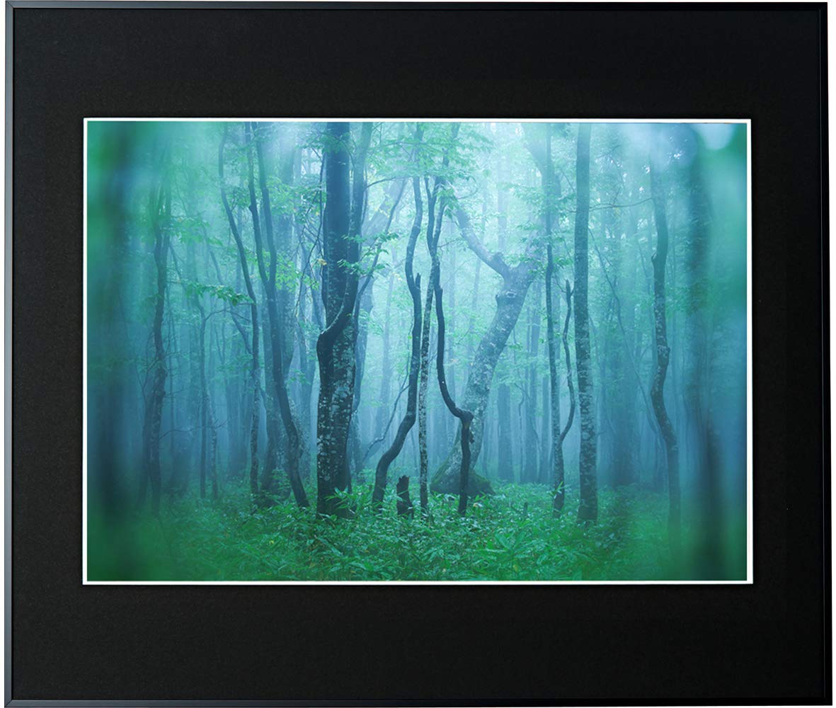 Kenko Picture Frame Gallery All Paper Aluminum Frame Made in Japan
