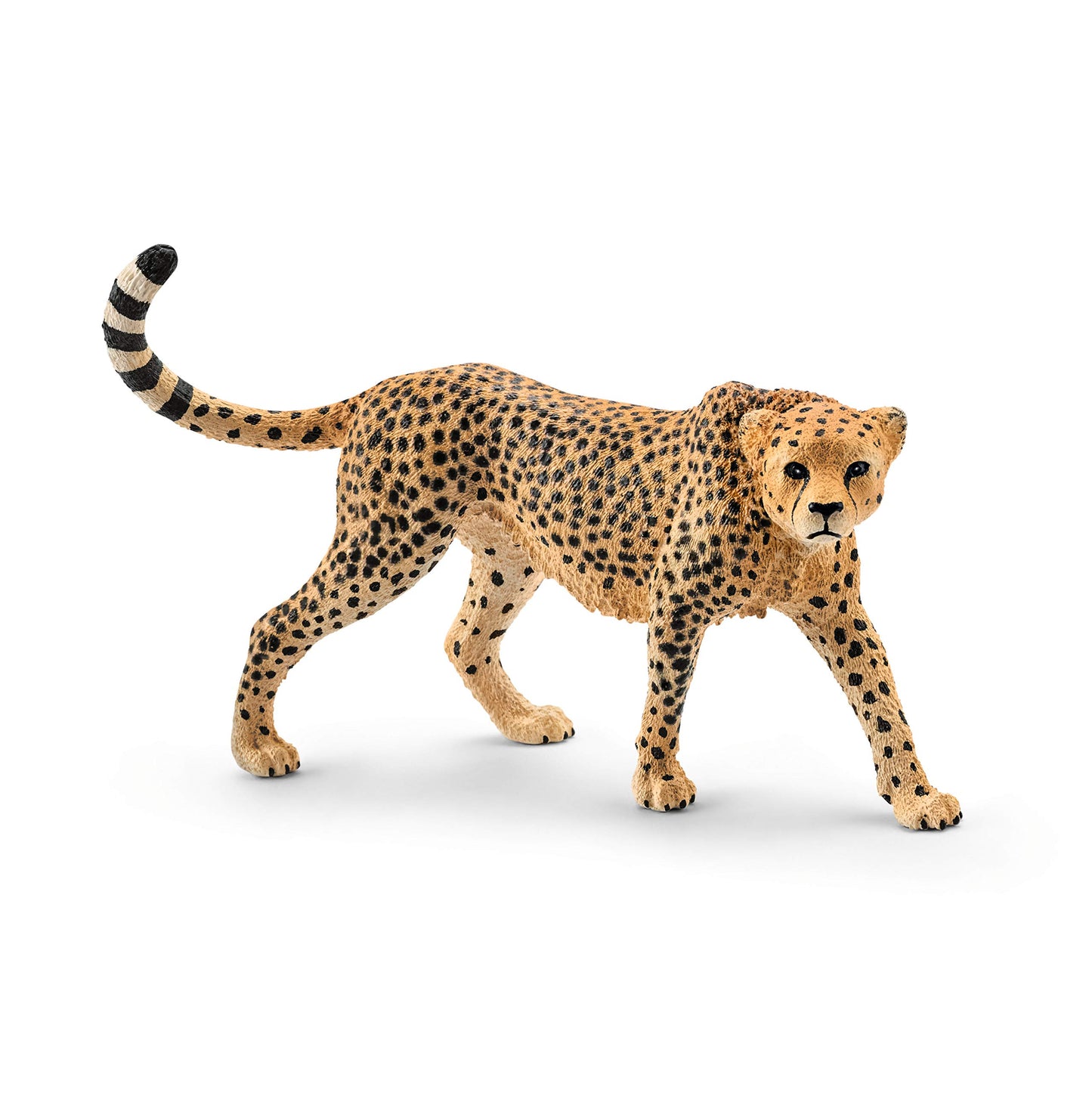 Schleich Wild Life - Realistic Cheetah Figurine Toy - Kids Ages 3+ | 14746