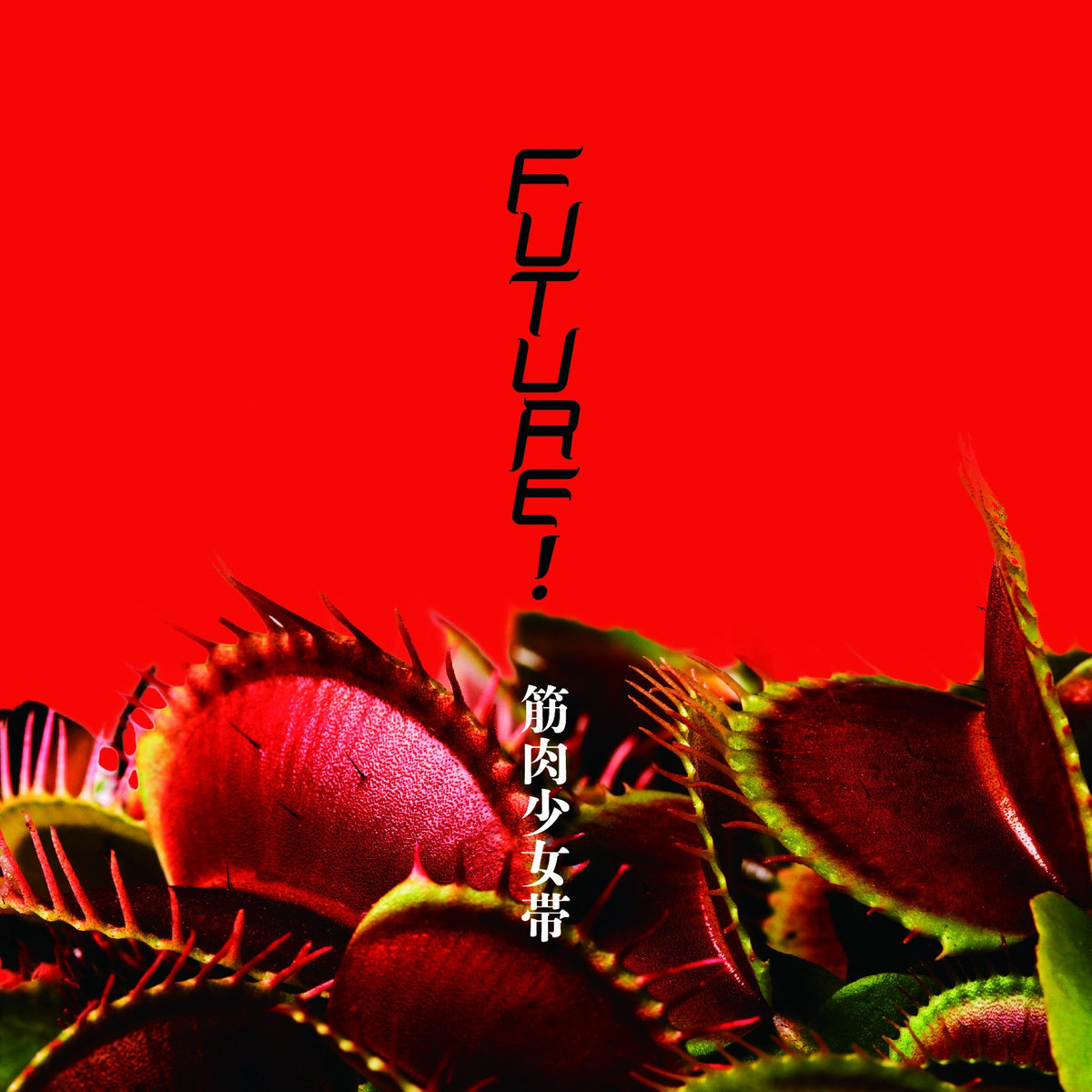 Untitled (Limited)