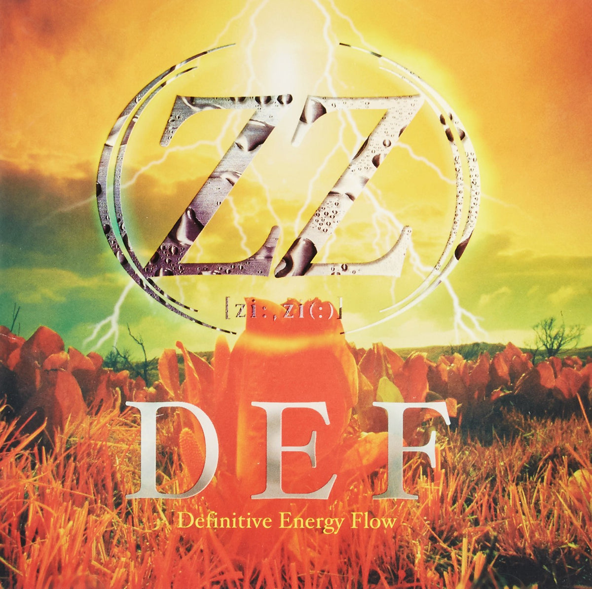 DEFINITIVE ENERGY FLOW