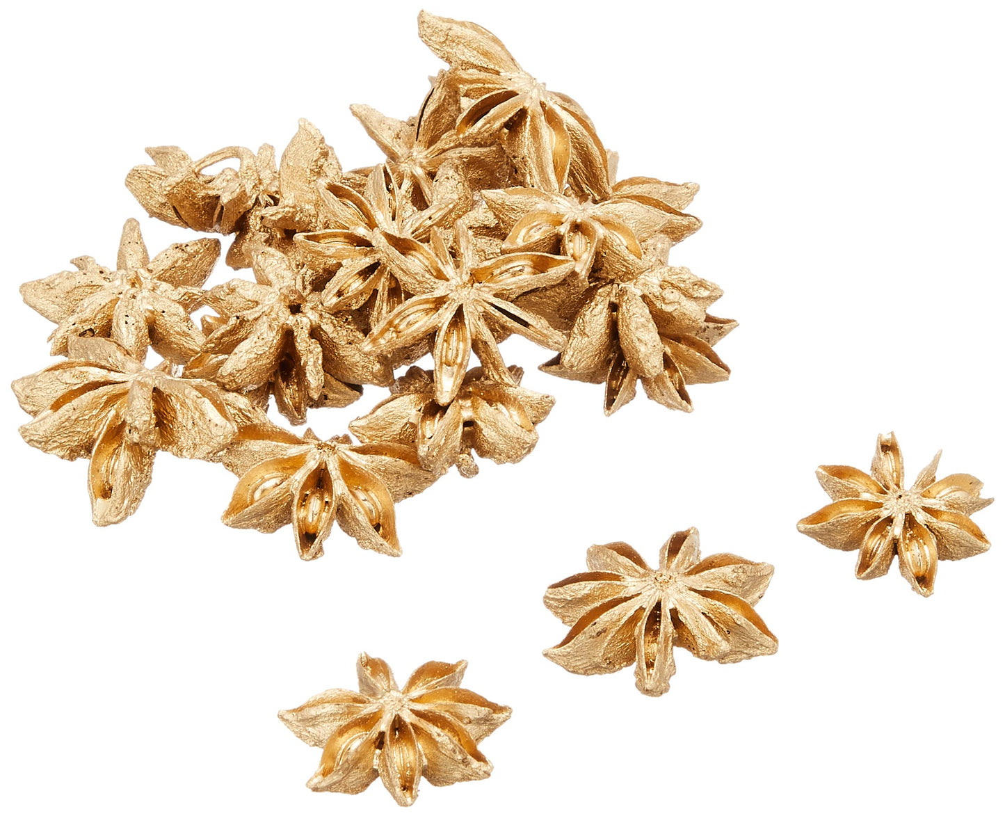 Daichi Farm DO021020-902 Dried Flowers, Star Anise, Gold, Approx. Diameter 1.2 inches (3.0 cm), 35G Included