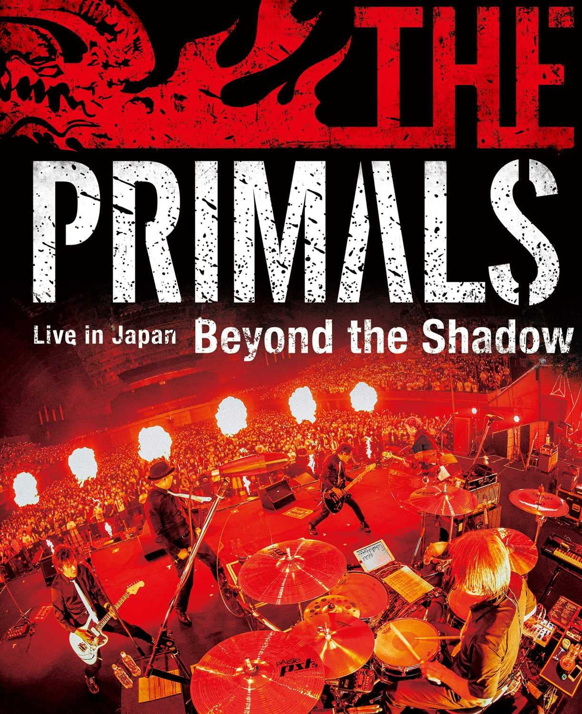 THE PRIMALS Live in Japan - Beyond the Shadow (Blu-ray) (No Bonus)