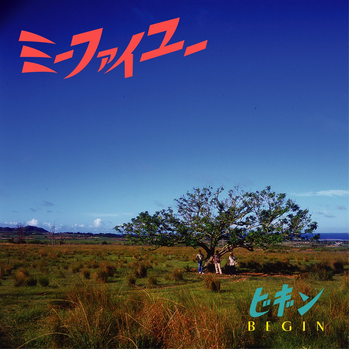 MIIFAIYUU(regular ed.)