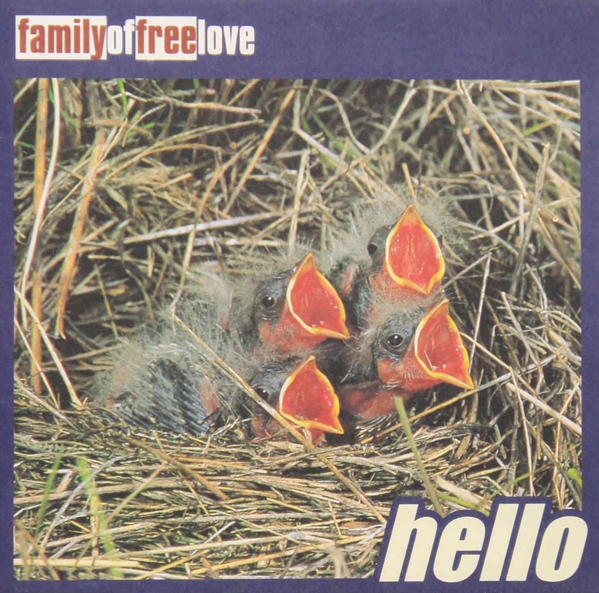 Hello