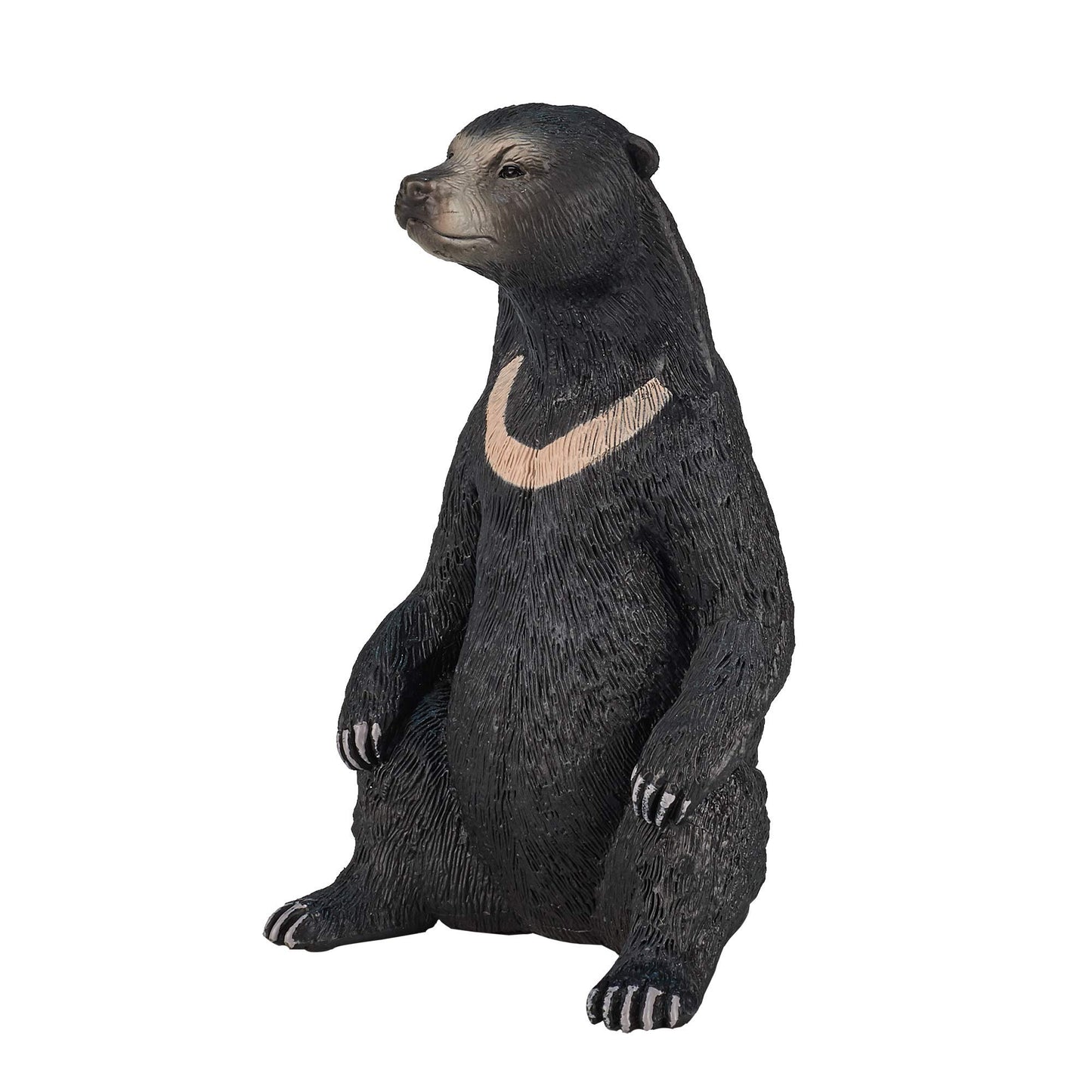 MOJO Sun Bear Realistic International Wildlife Toy Replica Hand Painted Figurine