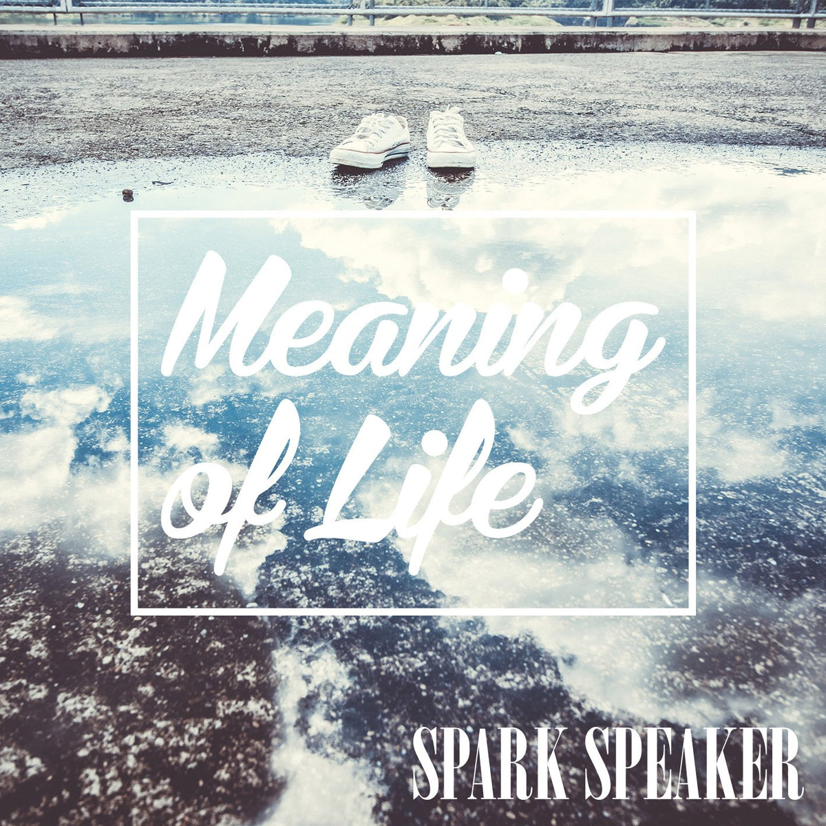 Meaning Of Life (Limited)