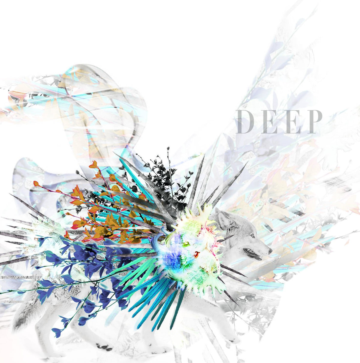 DEEP(regular)