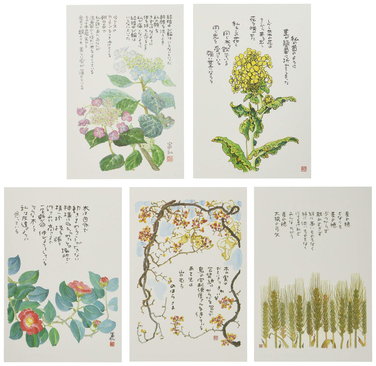 星野富弘 絵はがき 5枚セレクトシリーズ 光を No.1210