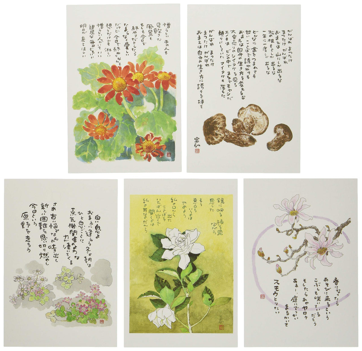 星野富弘 絵はがき 5枚セレクトシリーズ 明日へ No.1209