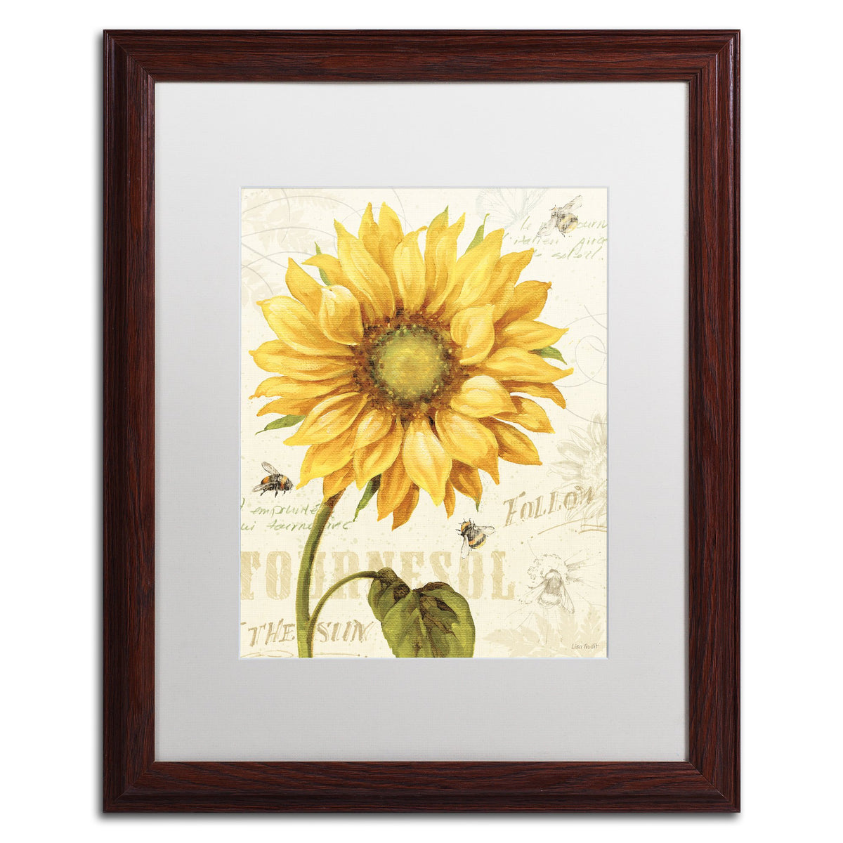 Trademark Fine Art ' Under The Sun I ' White Matted Wood Frame by Lisa Audit 16x20