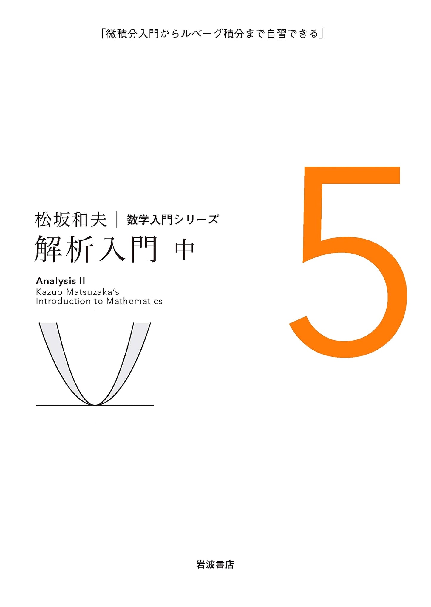 Introduction to Analysis (Part 2) by Kazuo Matsuzaka (Mathematics Introduction Series 5)