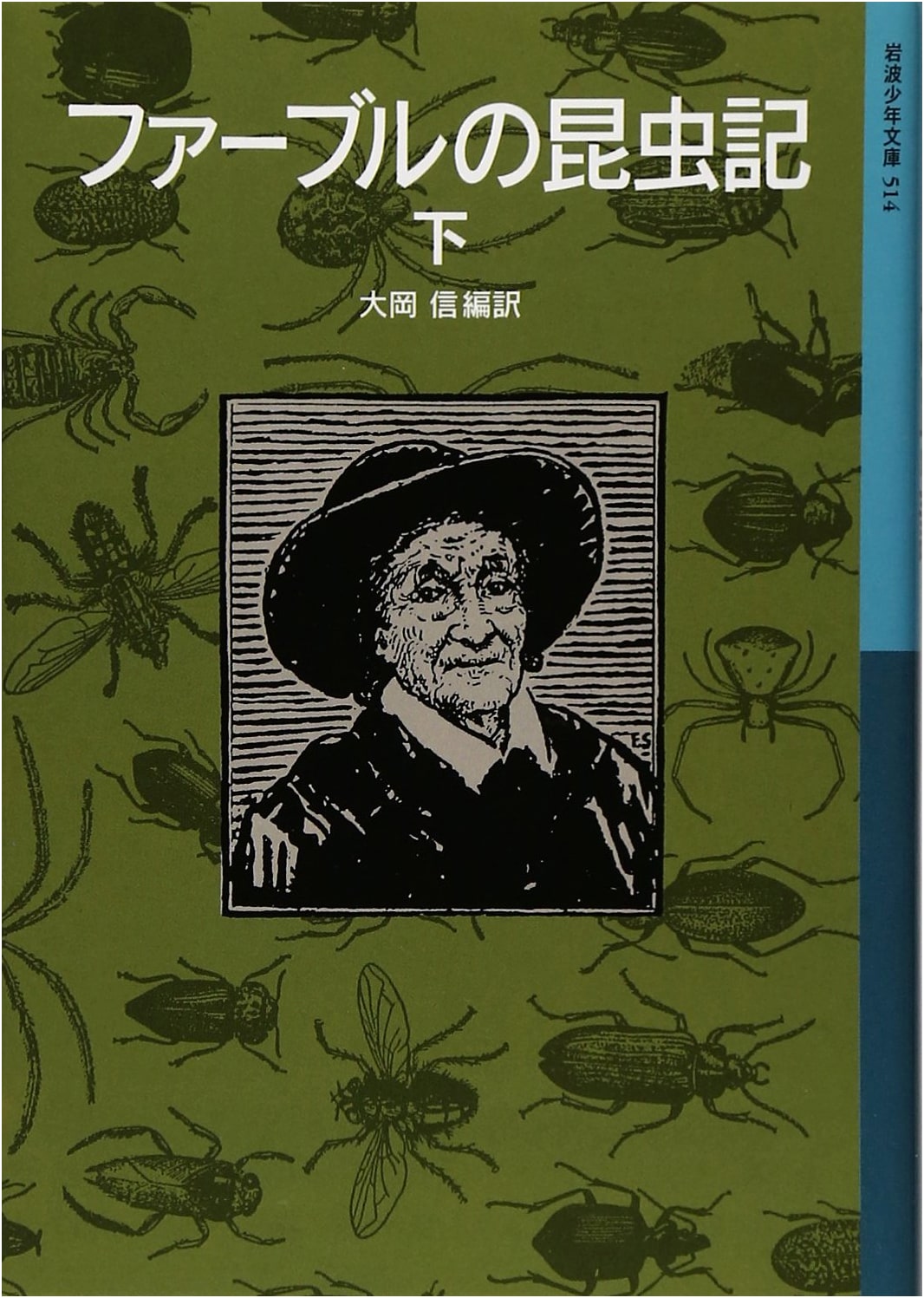 Jean-Henri Fabre's Book of Insects, Vol. 2 (Iwanami Junior Library 514)