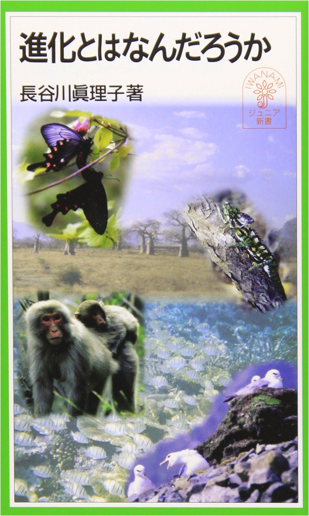What is Evolution? (Iwanami Junior Library #323)