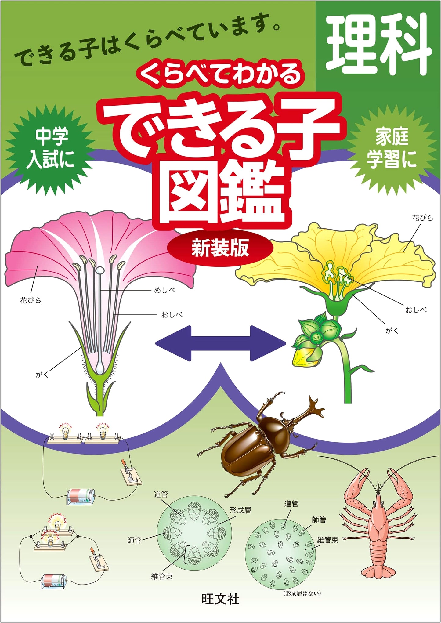 Science: A Pictorial Guide for Smart Kids, Revised Edition