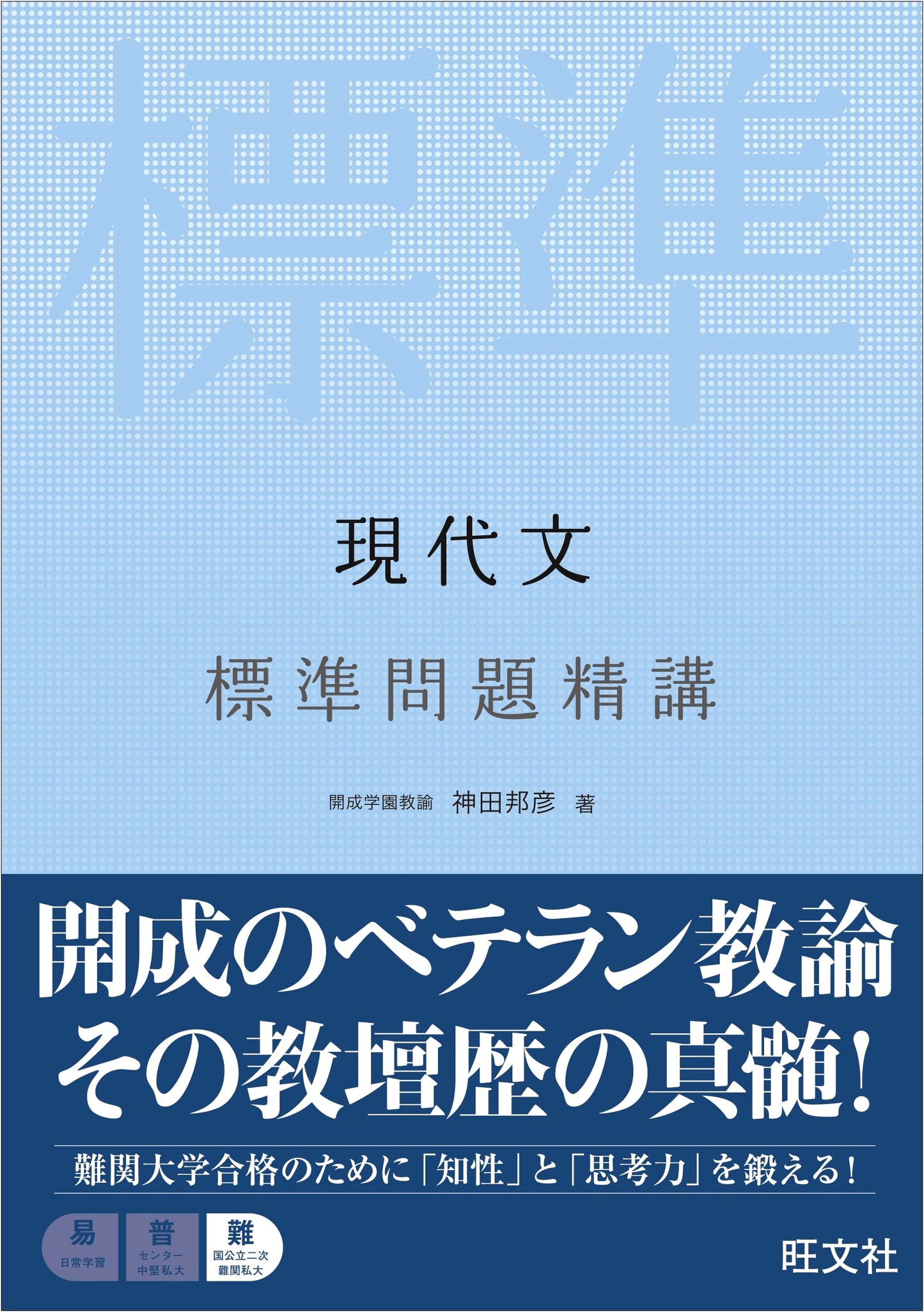 Mastering Modern Japanese: Standard Problem Set with Detailed Explanations