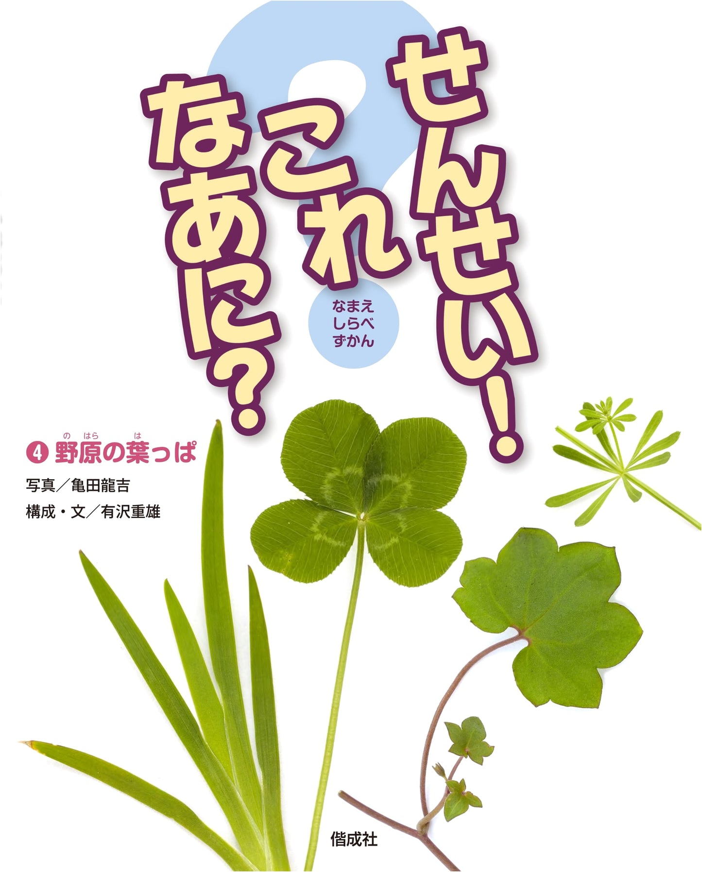 Leaves in the Field (Teacher! What is This?): A Japanese Picture Book