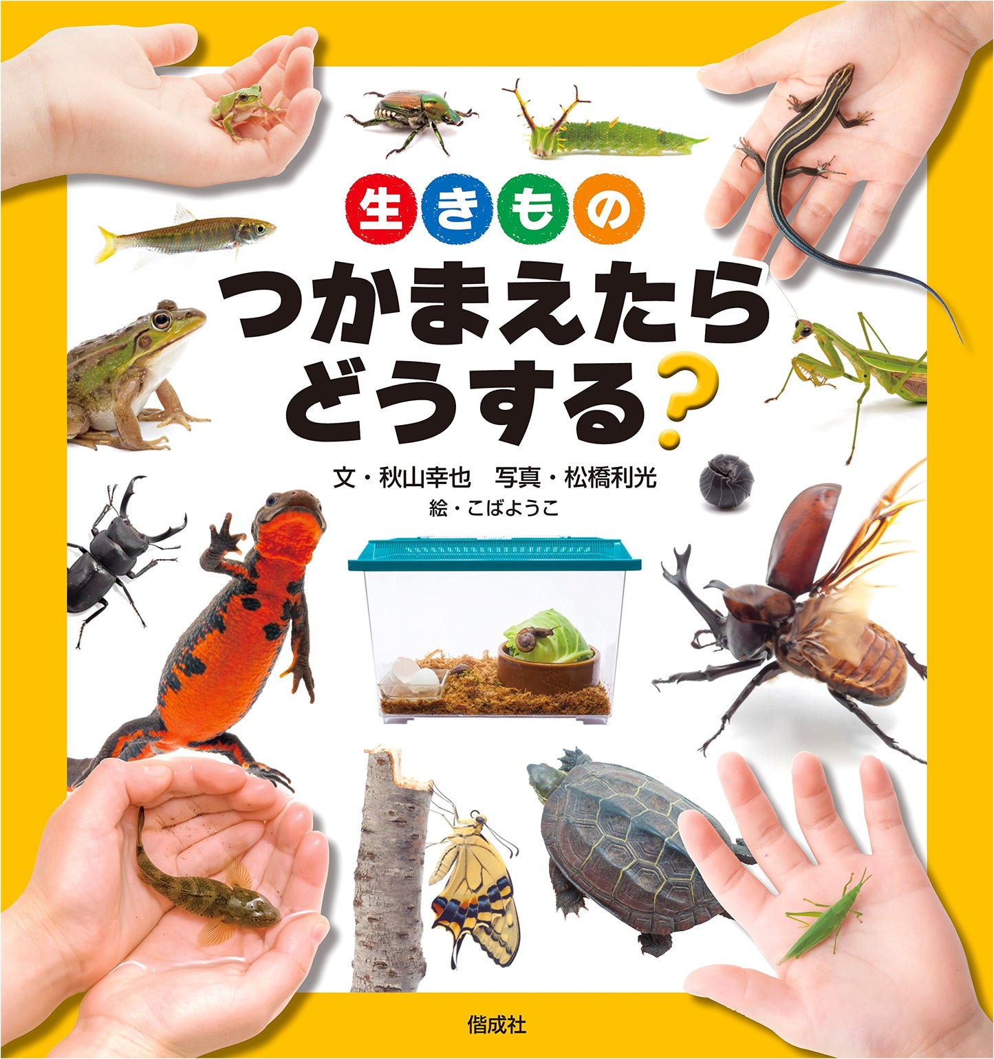 What to Do When You Catch a Creature? by Yukiya Akiyama