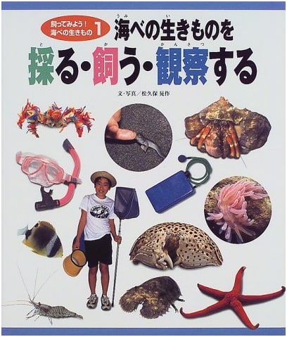 Let's Try Keeping Seashore Creatures 1