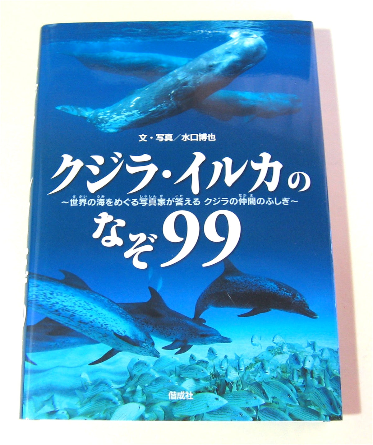99 Mysteries of Whales and Dolphins